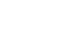 Ariana Food Solution